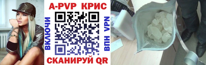 Альфа ПВП СК КРИС  Пятигорск 