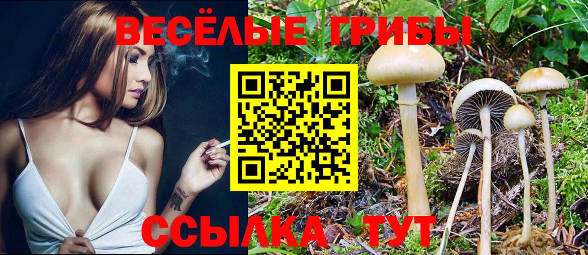 Псилоцибиновые грибы Magic Shrooms Пятигорск
